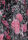 Womens Black & Pink Floral Print Ruffle Blouse