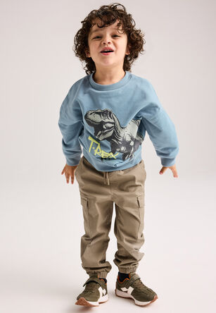 Younger Boys Blue T-Rex Dinosaur Sweatshirt
