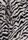 Womens Black & White Zebra Print Midi Skirt