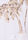 Womens Cream Sequin Palm Tree Cotton T-Shirt