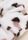 Womens Cream Leopard Towelling Scrunchy
