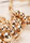 Womens Gold Bobble Flower Hoop Earrings